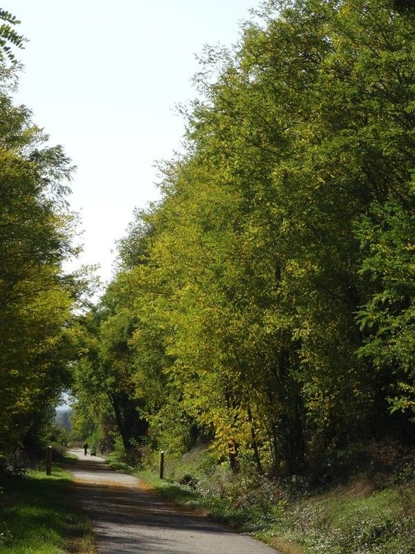Mon rituel quotidien (Anselm Grün)
